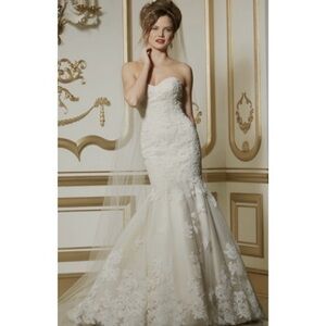 Wedding Gown (never worn)
